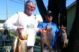 'Pescador' da Odebrecht, Zeca foi multado pela PMA por pesca ilegal no Rio Apa