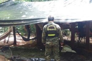 Brasileiro é executado em plantação de maconha na fronteira do Estado