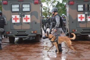 Exército utilizou cães e rastreadores em vistoria na PED