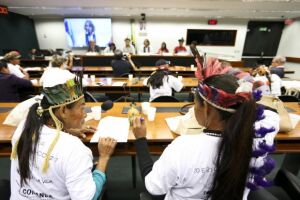 Jovens índios denunciam na Câmara violação de direitos contra os Guarani Kaiowá