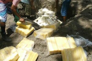 Polícia investiga possível venda de queijo contaminado que foi desenterrado de lixão