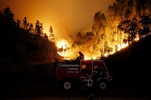 Incêndio florestal deixa 57 mortos e 59 feridos em Portugal