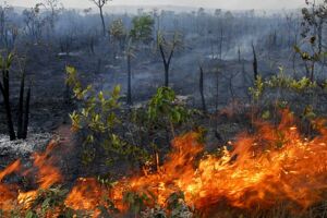 Número de queimadas em Mato Grosso do Sul já é superior a junho de 2016