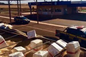 Polícia encontra maconha escondida em carga de soja na BR-463