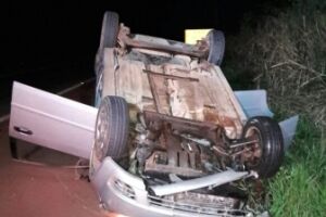 Touro atravessa a pista e provoca acidente na BR-262