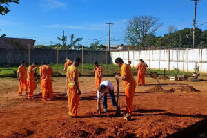 Detentos recebem cursos profissionalizantes na área agrícola em MS