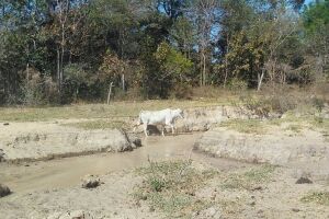 Fazendeiro é autuado pela PMA em R$ 37 mil por voçorocas e rompimento de represa ilegal