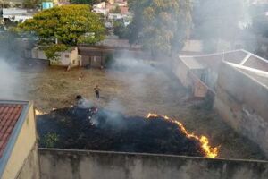Repórter Top: incêndio em terreno baldio no centro de Campo Grande preocupa moradores