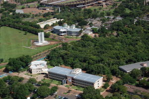 Árvores do campus da UFMS de Campo Grande serão identificadas e catalogadas