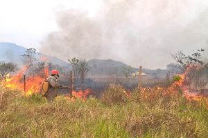 Bombeiros demoraram 3h para conter as chamas
