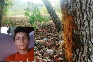 Jovem de 19 anos morre após bater motocicleta em árvore