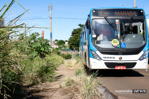 Repórter Top: matagal invade calçada e cobre ponto de ônibus no bairro Giocondo