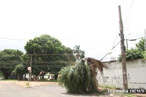 Após temporal, moradores ficam 22 horas sem energia no Amambaí