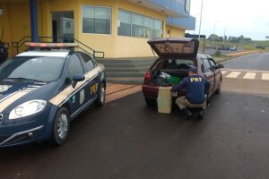 PRF apreende maconha em porta-malas de carro, mas motorista foge