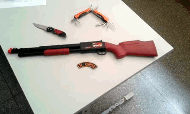 Arma de brinquedo estava escondida em uma árvore