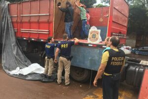 Ação de polícias descobriu 1,3 tonelada de maconha