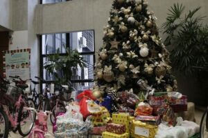 Pacijus: apadrinhamentos que presenteiam crianças no Natal podem ser feitos até dia 8 de dezembro