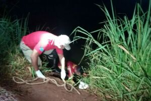 Adolescente embriagado morre afogado após pular em lagoa