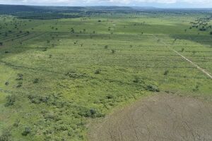 Fazendeiro é multado em R$ 159 mil por desmatamento ilegal