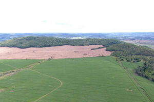 Com ajuda de drone, polícia localiza desmatamento e autua fazendeiro em R$ 43 mil