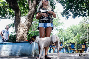 Em dia de adoção no CCZ, cães e gatos ganham novos lares na Capital