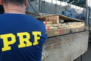 PRF apreende 1,4 tonelada de maconha escondida em fundo falso de caminhão