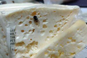 Consumidor encontra mosca em queijo comprado em conveniência da Capital