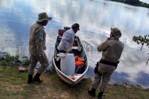 Ribeirinhos encontram crânio em decomposição boiando no Rio Paraguai