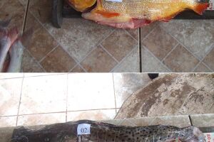 Homem é flagrado vendendo peixes pescados em plena piracema