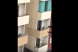 Vídeo: cachorrinho é abandonado em varanda de apartamento na Capital
