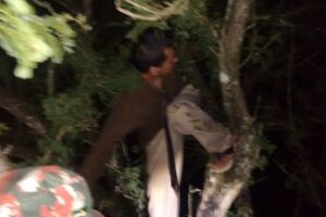 Homem desaparecido é resgatado em cima de árvore