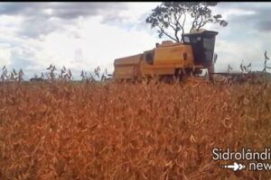Bandidos furtam máquina colheitadeira em fazenda de Sidrolândia