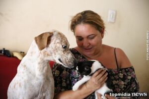 Amor de infância: serralheira resgata animais mutilados nas ruas da Capital