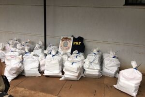 Polícia achou 840 quilos de maconha em chácara