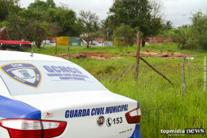 Após denúncia, Guarda Municipal apreende espingarda e munições