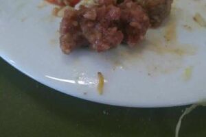 Estudante divulga foto de larva em almoço de restaurante universitário da UFMS