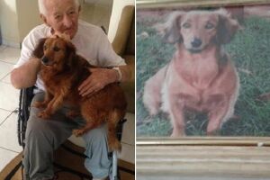 Companheira de idoso de 100 anos, cadela foge de casa e família pede ajuda