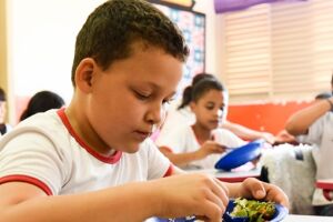 Senado aprova inclusão da educação alimentar no currículo escolar