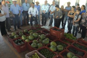 Agricultores familiares de Terenos passam a comercializar alimentos dentro da Ceasa