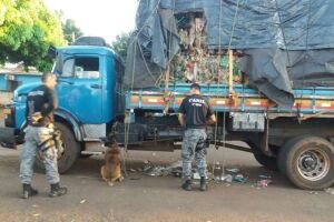 Cão farejador encontra quase três toneladas de maconha em carga de recicláveis