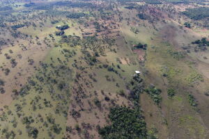 Imagens de drone captaram hectares desmatados