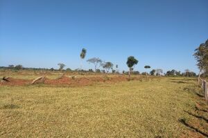 Fazendeiro de Jardim é autuado em R$ 9,8 mil por desmatamento ilegal