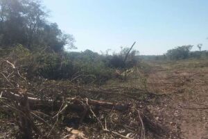 Área de devastação soma 20 hectares em Bela Vista