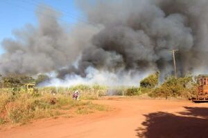 VÍDEO: incêndio destrói canavial em cidade de MS