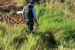 Motociclista morre ao perder controle de veículo e cair em ribanceira