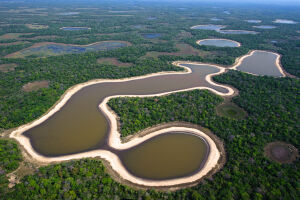 Troco Solidário vai ajudar Instituto SOS Pantanal com pesquisas na Bacia do Alto Paraguai