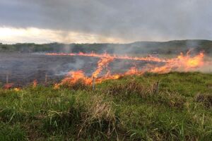 Riscos de queimadas no campo aumentam durante o período de estiagem