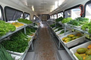 Projeto Saladão já vende produtos de pequenos agricultores em bairros da Capital