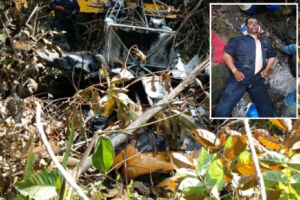 Vídeo: piloto é encontrado vivo quatro dias após acidente de avião
