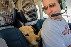 Homem compra avião para salvar cães e gatos da eutanásia